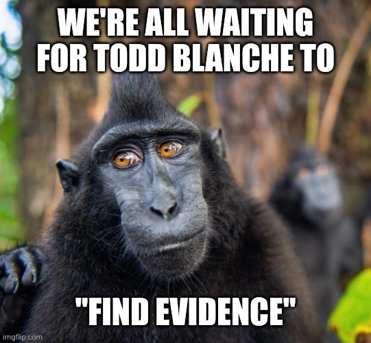 Pam Bondi's apprentice is going to botch it | We're all waiting for Todd Blanche to; "Find evidence" | image tagged in curious macaque,memes,planting evidence,political enemies,persecution,lawfare | made w/ Imgflip meme maker
