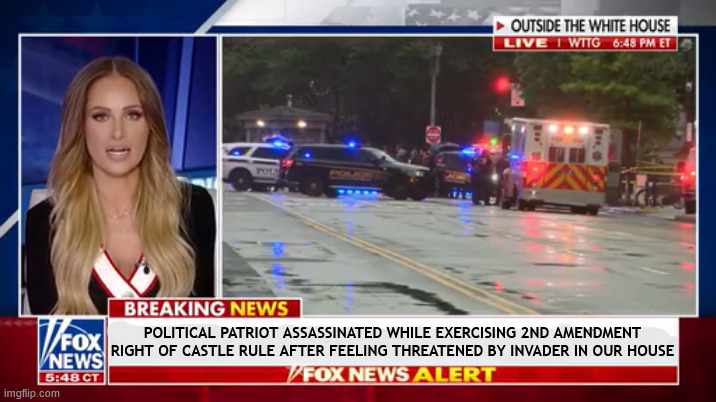Deep state feds assassinate political patriot | political patriot assassinated while exercising 2nd Amendment right of castle rule after feeling threatened by invader in our house | image tagged in deep state feds assassinate political patriot,castle rule invader inside the peoples house,2nd amendment rights squelched | made w/ Imgflip meme maker