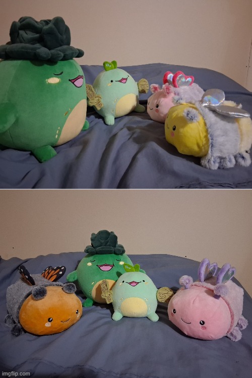The Sprouts making new friends | image tagged in sprouts,quest,momma,butterflies,bee,plushies | made w/ Imgflip meme maker