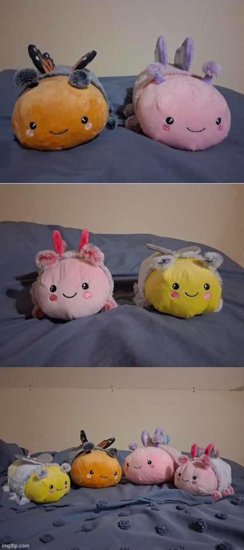 My other plushies | image tagged in plushies,butterflies,bee,collection | made w/ Imgflip meme maker