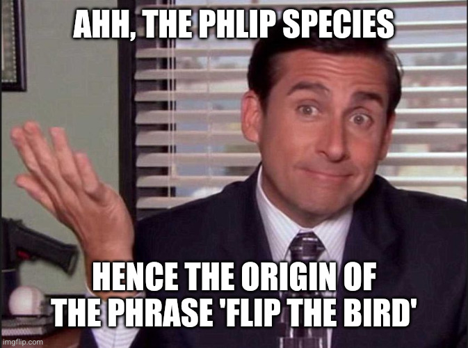 Michael Scott | Ahh, the Phlip species Hence the origin of the phrase 'Flip The Bird' | image tagged in michael scott | made w/ Imgflip meme maker