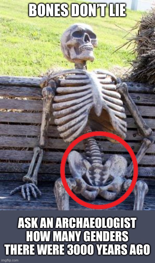 Bones don’t lie Ask an archaeologist how many genders there were 3000 years ago | image tagged in memes,waiting skeleton | made w/ Imgflip meme maker