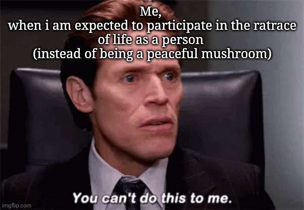 You can't do this to me | Me, 
when i am expected to participate in the ratrace of life as a person 
(instead of being a peaceful mushroom) | image tagged in you can't do this to me | made w/ Imgflip meme maker