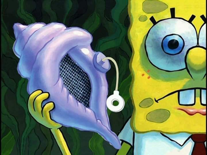 SpongeBob with a shell phone Blank Meme Template