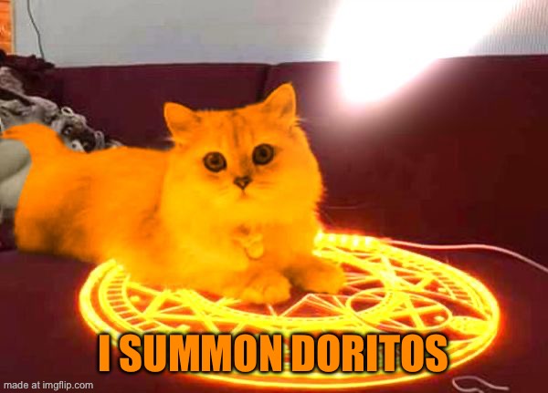 RayCat Powers | I summon doritos | image tagged in raycat powers | made w/ Imgflip meme maker