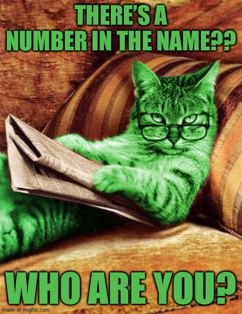 Factual RayCat | There’s a number in the name?? Who are you? | image tagged in factual raycat | made w/ Imgflip meme maker
