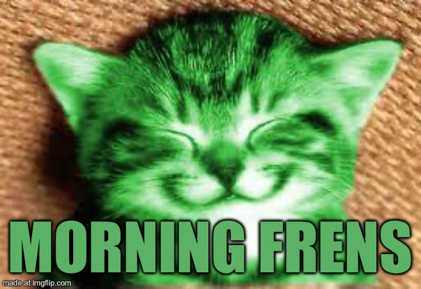 happy RayCat | Morning frens | image tagged in happy raycat | made w/ Imgflip meme maker