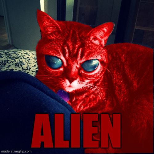 RayCat Aliens | Alien | image tagged in raycat aliens | made w/ Imgflip meme maker
