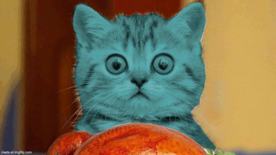 RayCat surprised | image tagged in raycat surprised | made w/ Imgflip meme maker