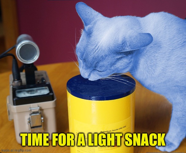 RayCat eating | Time for a light snack | image tagged in raycat eating | made w/ Imgflip meme maker
