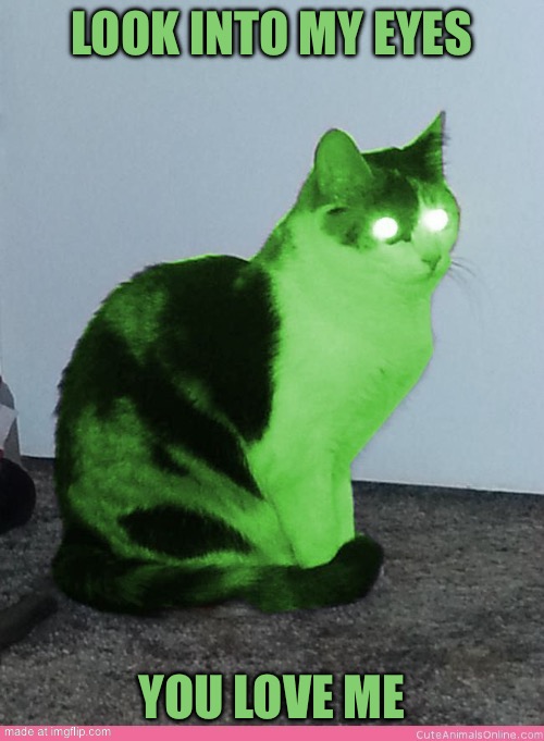 Hypno Raycat | Look into my eyes; You love me | image tagged in hypno raycat | made w/ Imgflip meme maker