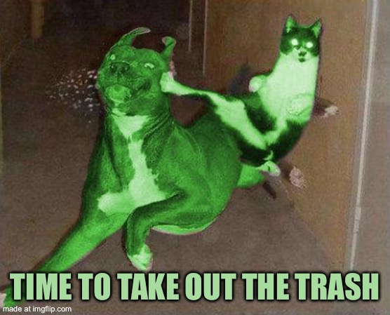 RayCat kick | Time to take out the trash | image tagged in raycat kicking raydog | made w/ Imgflip meme maker