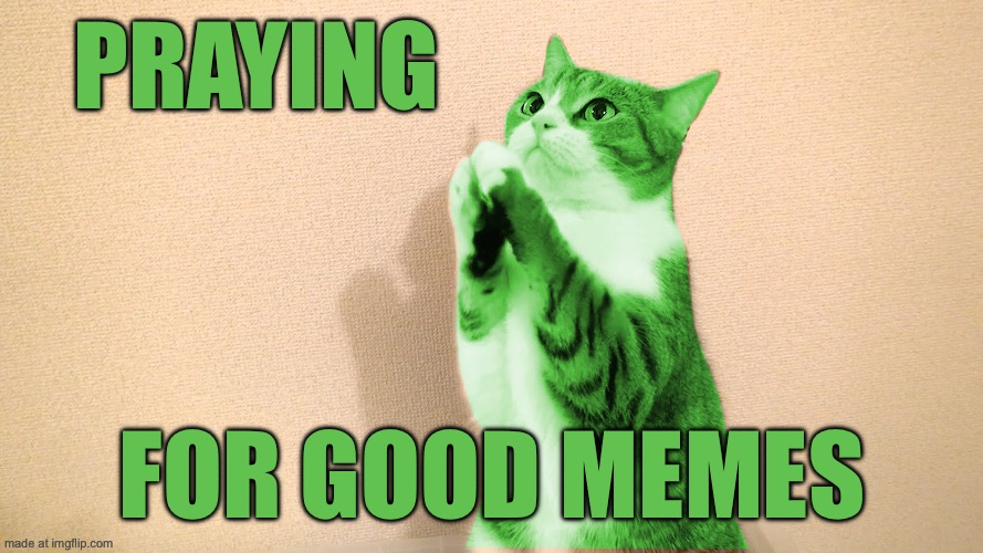 RayCat Pray | Praying; For good memes | image tagged in raycat pray | made w/ Imgflip meme maker