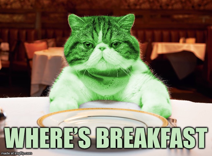 RayCat Hungry | Where’s breakfast | image tagged in raycat hungry | made w/ Imgflip meme maker