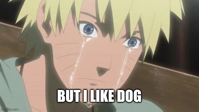 Finishing anime | But I like dog | image tagged in finishing anime | made w/ Imgflip meme maker