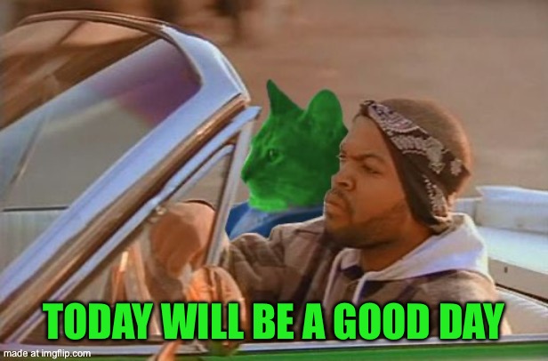 But recovering from last night’s chicken buriyani | Today will be a good day | image tagged in driving raycat | made w/ Imgflip meme maker