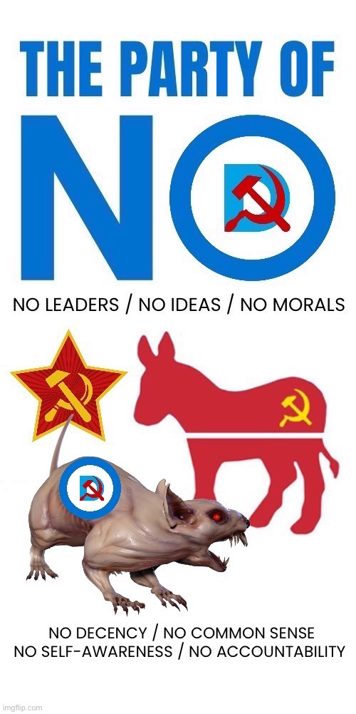 And a whole lot of other “nos” as well | image tagged in political meme,democrats,the party of no,marxists,anti usa,demonrats | made w/ Imgflip meme maker