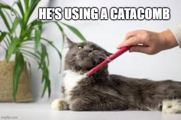 He was using a "catacomb" to brush his cat. | He's using a catacomb | image tagged in funny,humor,cat,kittens,play on words,groom | made w/ Imgflip meme maker