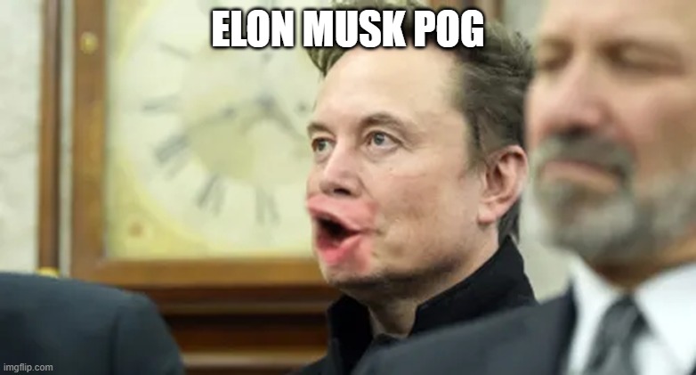 Elon Musk Pog | elon musk pog | image tagged in elon musk pog 2 | made w/ Imgflip meme maker