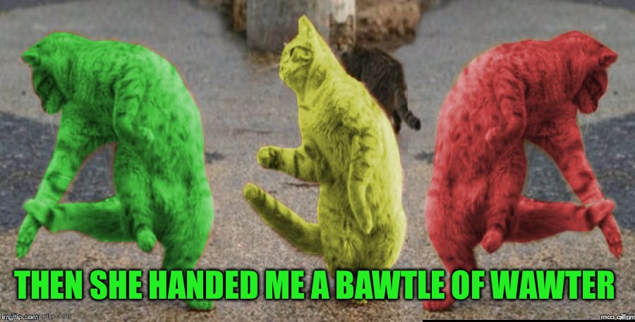 Three Dancing RayCats | Then she handed me a bawtle of wawter | image tagged in three dancing raycats | made w/ Imgflip meme maker