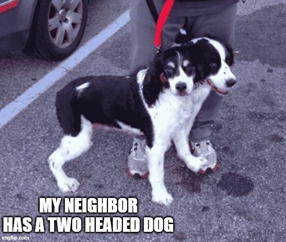My neighbor had a two headed dog.    --  funny  -- | my neighbor has a two headed dog | image tagged in dog,play on words,funny,humor,optical illusion | made w/ Imgflip meme maker