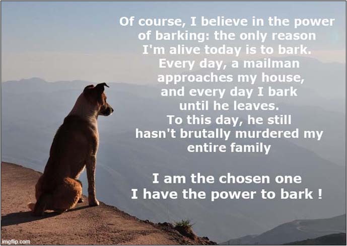 Reflections On Barking | image tagged in dogs,reflection,barking | made w/ Imgflip meme maker