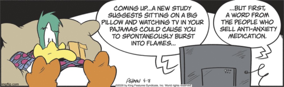 Mallard Fillmore | image tagged in comics | made w/ Imgflip meme maker