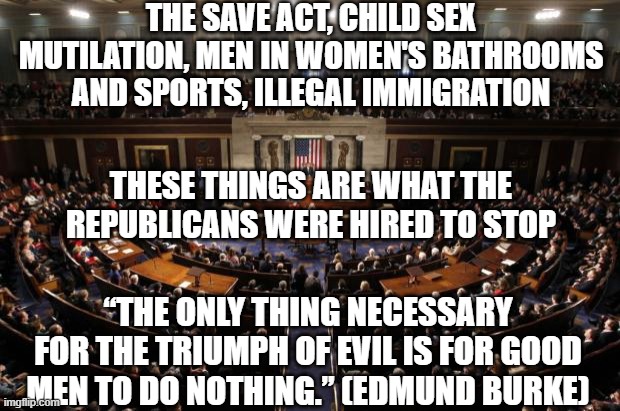 congress | the save act, child sex mutilation, men in women's bathrooms and sports, illegal immigration; these things are what the republicans were hired to stop; “The only thing necessary for the triumph of evil is for good men to do nothing.” (Edmund Burke) | image tagged in congress | made w/ Imgflip meme maker