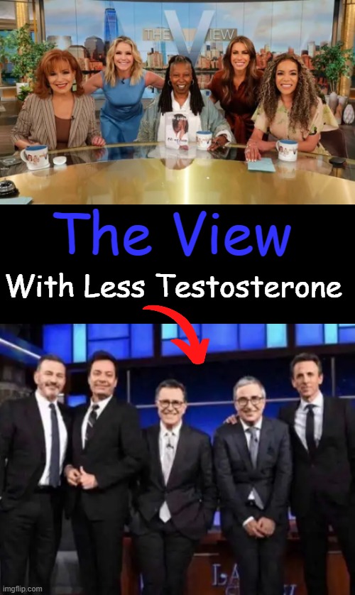 But with about the same amount of brain cells... | The View; With Less Testosterone | image tagged in angry women,they are the same picture,the view,liberals,political humor | made w/ Imgflip meme maker