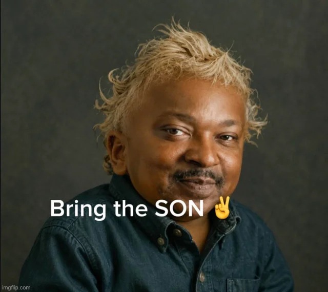 I don’t think anyone gets this reference and I understand why it’s niche music | image tagged in bring the son | made w/ Imgflip meme maker