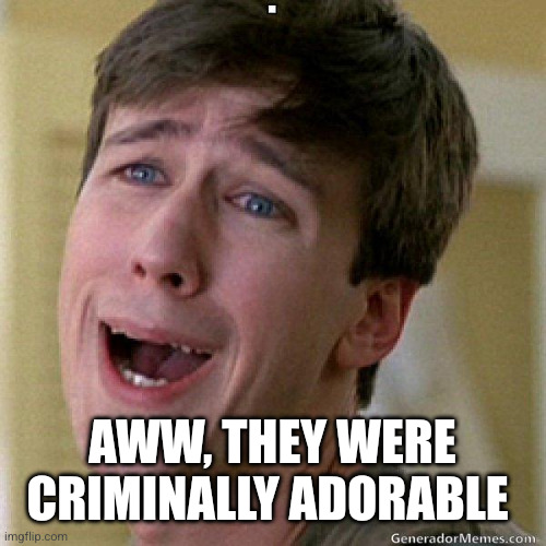 awww | Aww, they were criminally adorable | image tagged in awww | made w/ Imgflip meme maker