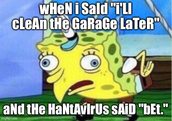“This is so stupid bro” famous last words | wHeN i SaId "i'Ll cLeAn tHe GaRaGe LaTeR"; aNd tHe HaNtAvIrUs sAiD "bEt." | image tagged in memes,mocking spongebob | made w/ Imgflip meme maker