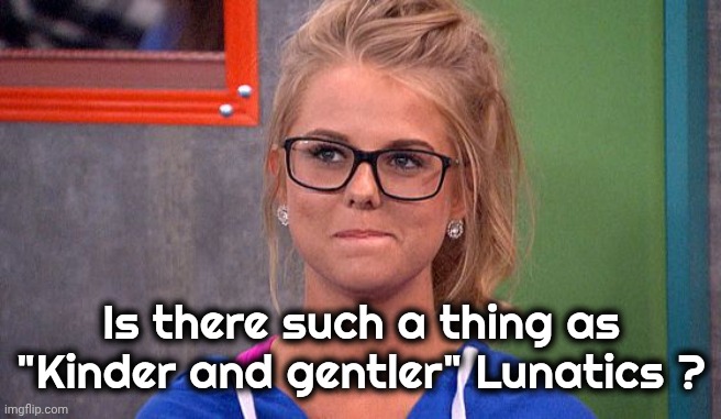 Nicole 's thinking | Is there such a thing as "Kinder and gentler" Lunatics ? | image tagged in nicole 's thinking | made w/ Imgflip meme maker
