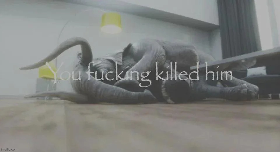 You killed him | image tagged in you killed him | made w/ Imgflip meme maker