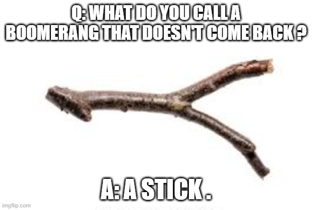 What do you call a boomerang that doesn't come back?    --  funny  -- | Q: What do you call a boomerang that doesn't come back ? A: a stick . | image tagged in funny,humor,play on words,boomerang,funny meme | made w/ Imgflip meme maker