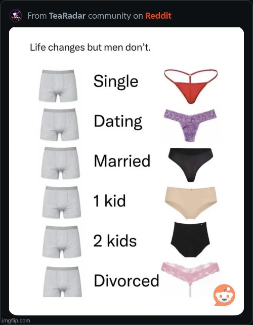 Panties Blank Meme Template