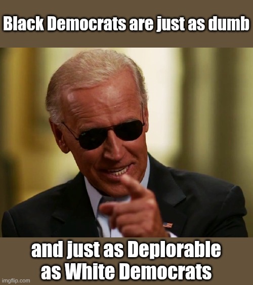 Cool Joe Biden | Black Democrats are just as dumb and just as Deplorable as White Democrats | image tagged in cool joe biden | made w/ Imgflip meme maker