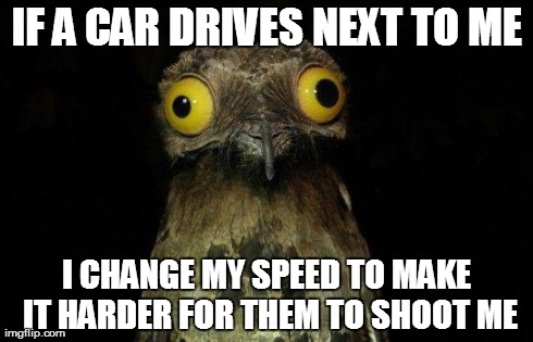 Crazy eyed bird | IF A CAR DRIVES NEXT TO ME I CHANGE MY SPEED TO MAKE IT HARDER FOR THEM TO SHOOT ME | image tagged in crazy eyed bird | made w/ Imgflip meme maker