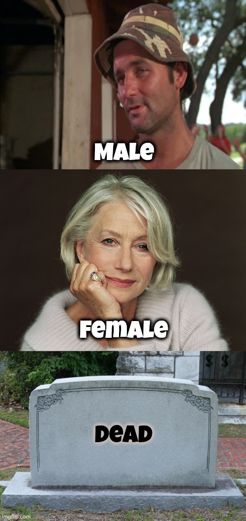 Three kinds of people in the world | Male; Female; Dead | image tagged in memes,helen mirren,gravestone,bill murray,common sense,think about it | made w/ Imgflip meme maker