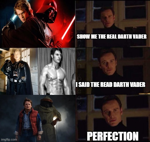 The Real Darth Vader | Show me the real darth vader; I said the read darth vader; Perfection | image tagged in show me the real | made w/ Imgflip meme maker