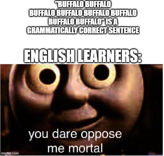you dare oppose me mortal | "BUFFALO BUFFALO BUFFALO BUFFALO BUFFALO BUFFALO BUFFALO BUFFALO" is a grammatically correct sentence; English learners: | image tagged in you dare oppose me mortal,remix | made w/ Imgflip meme maker