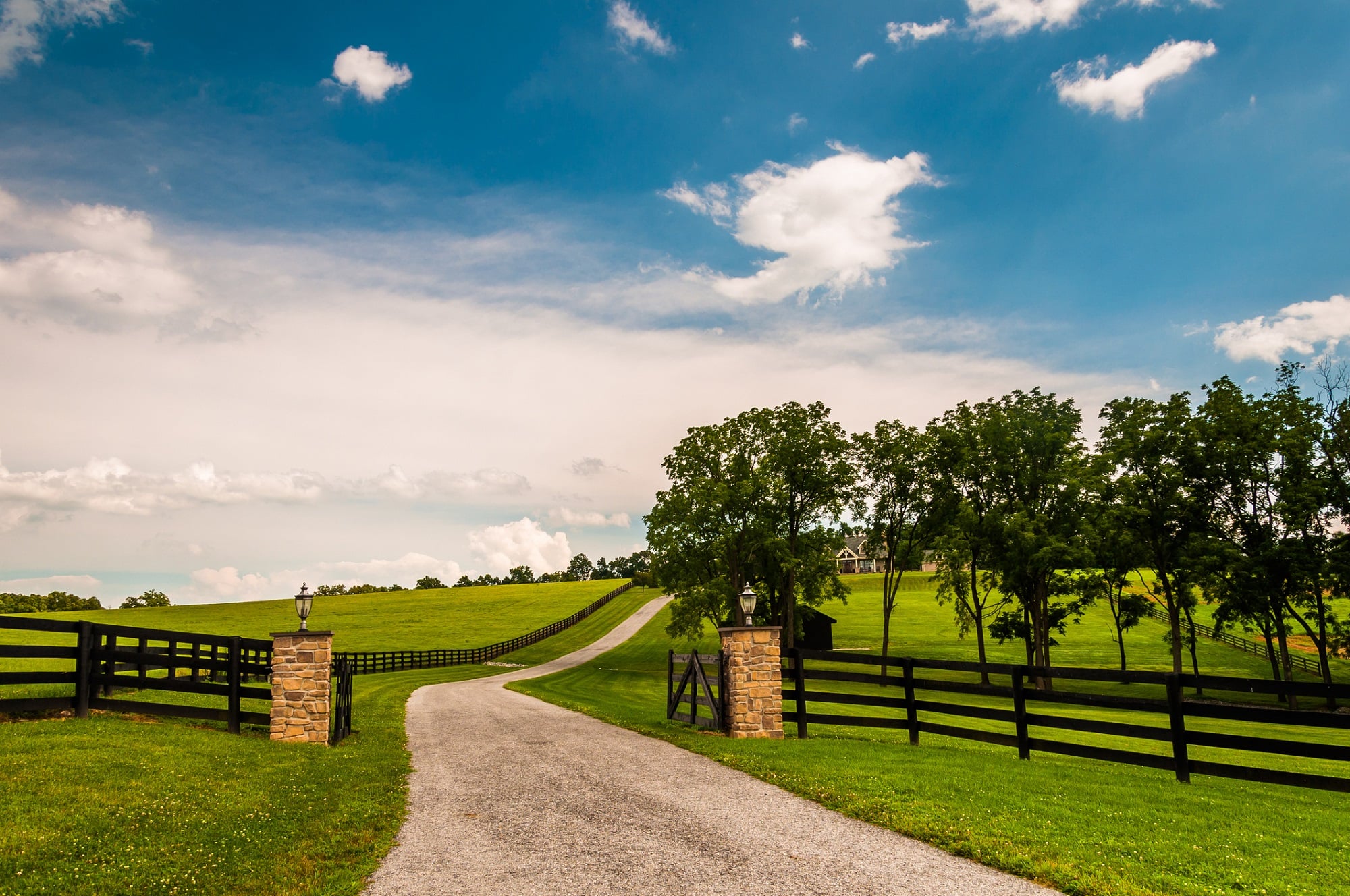 Long driveway Blank Meme Template
