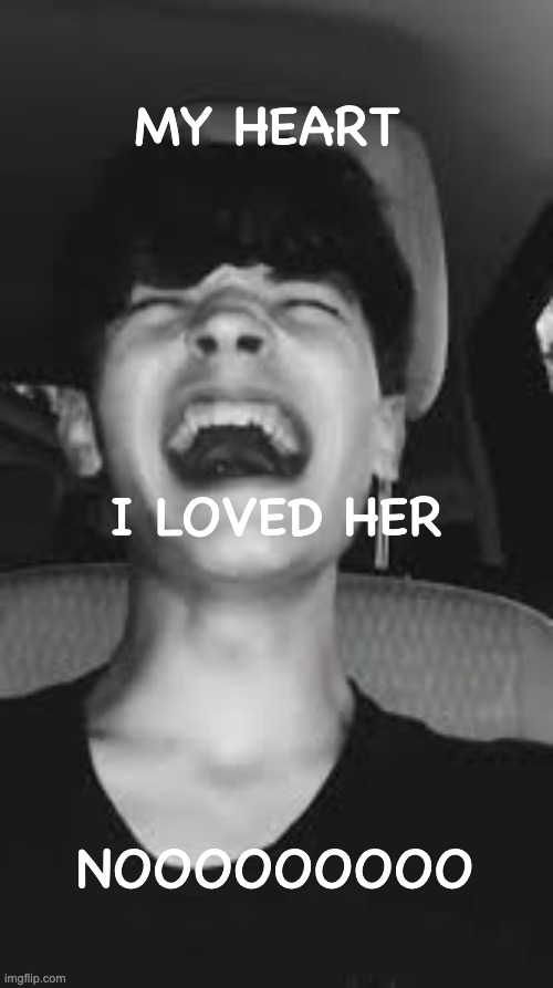 MY HEART, I LOVED HER! WAAAAAAAA | MY HEART I LOVED HER NOOOOOOOOO | image tagged in my heart i loved her waaaaaaaa | made w/ Imgflip meme maker