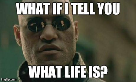 Matrix Morpheus Meme | WHAT IF I TELL YOU WHAT LIFE IS? | image tagged in memes,matrix morpheus | made w/ Imgflip meme maker