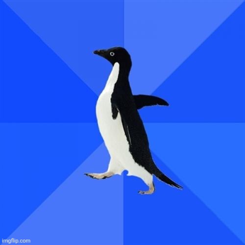 Socially Awkward Penguin Meme | image tagged in memes,socially awkward penguin | made w/ Imgflip meme maker