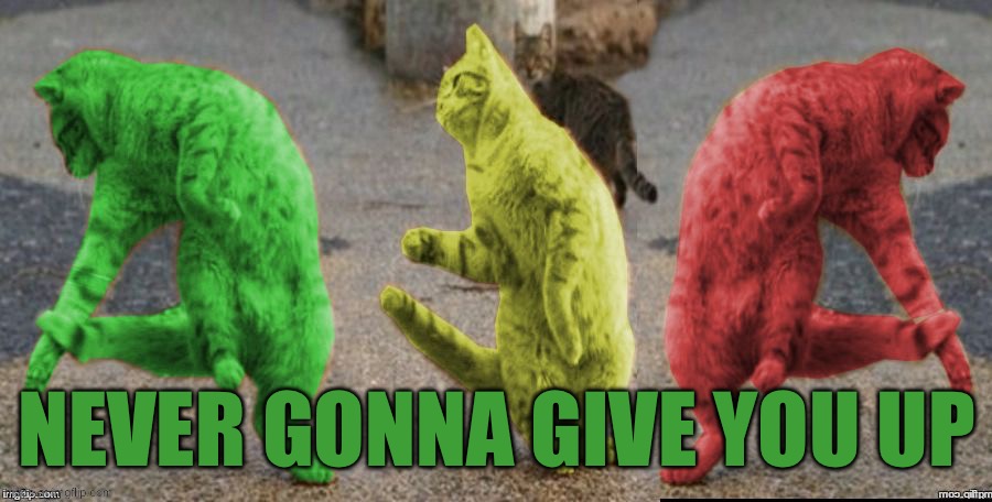 Three Dancing RayCats | Never gonna give you up | image tagged in three dancing raycats | made w/ Imgflip meme maker