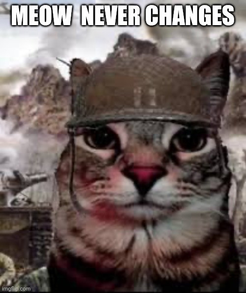 Image title | MEOW  NEVER CHANGES | image tagged in 1000 yard stare cat,remix,fallout | made w/ Imgflip meme maker