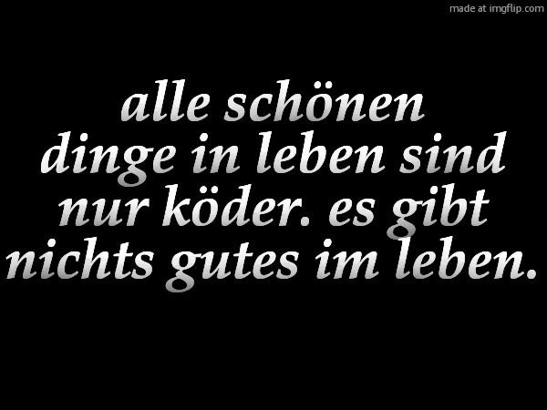 alle schönen dinge in leben sind nur köder. es gibt nichts gutes im leben.
filler text jgjgjgjhjgug | made w/ Imgflip meme maker