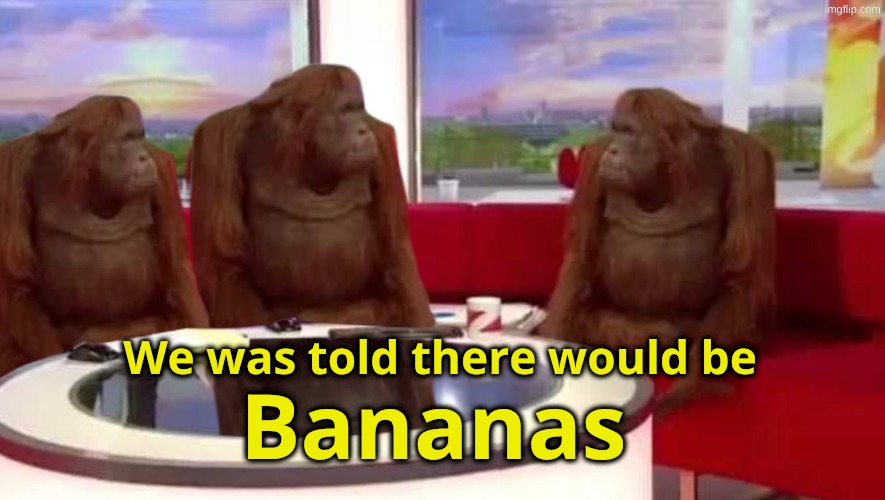 We was told... | 𝐖𝐞 𝐰𝐚𝐬 𝐭𝐨𝐥𝐝 𝐭𝐡𝐞𝐫𝐞 𝐰𝐨𝐮𝐥𝐝 𝐛𝐞; 𝐁𝐚𝐧𝐚𝐧𝐚𝐬 | image tagged in where monkey,banana,where banana,what do we want | made w/ Imgflip meme maker