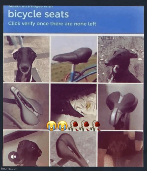 image tagged in shitpost | made w/ Imgflip meme maker